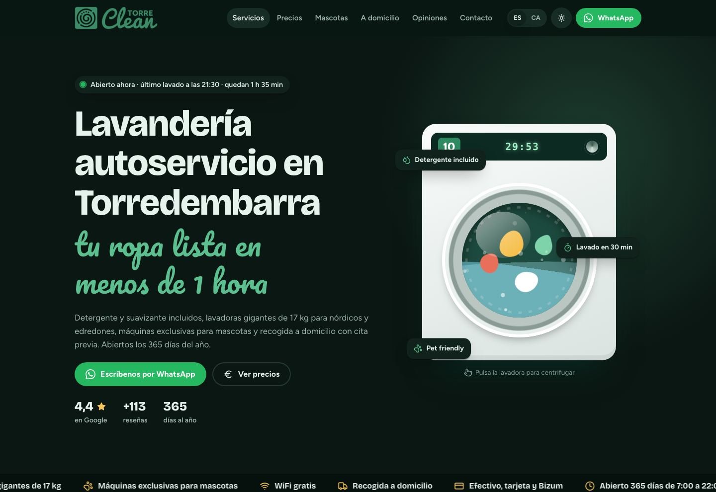 Portada de la web de TorreClean